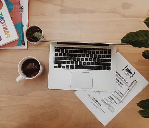 nelson flat-lay photo of laptop near mug with liquid new zealand